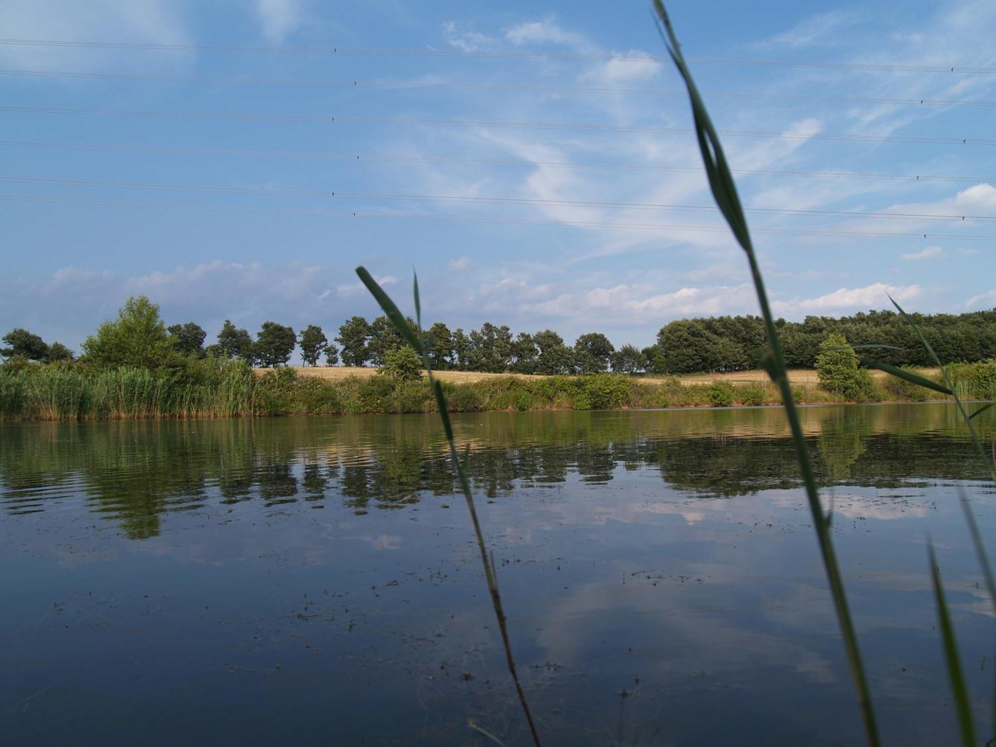 Agriturismo Cavallin Del Bufalo Manciano Εξωτερικό φωτογραφία