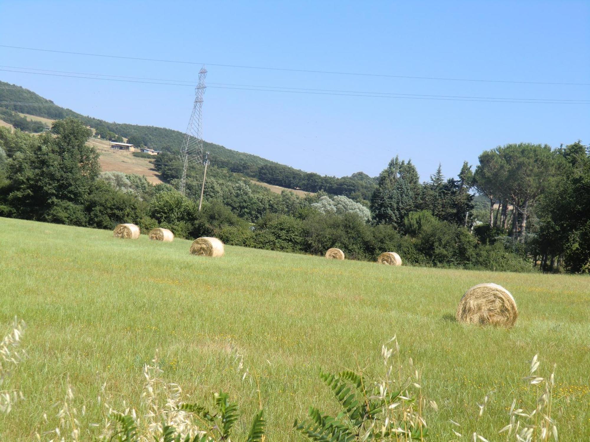 Agriturismo Cavallin Del Bufalo Manciano Εξωτερικό φωτογραφία